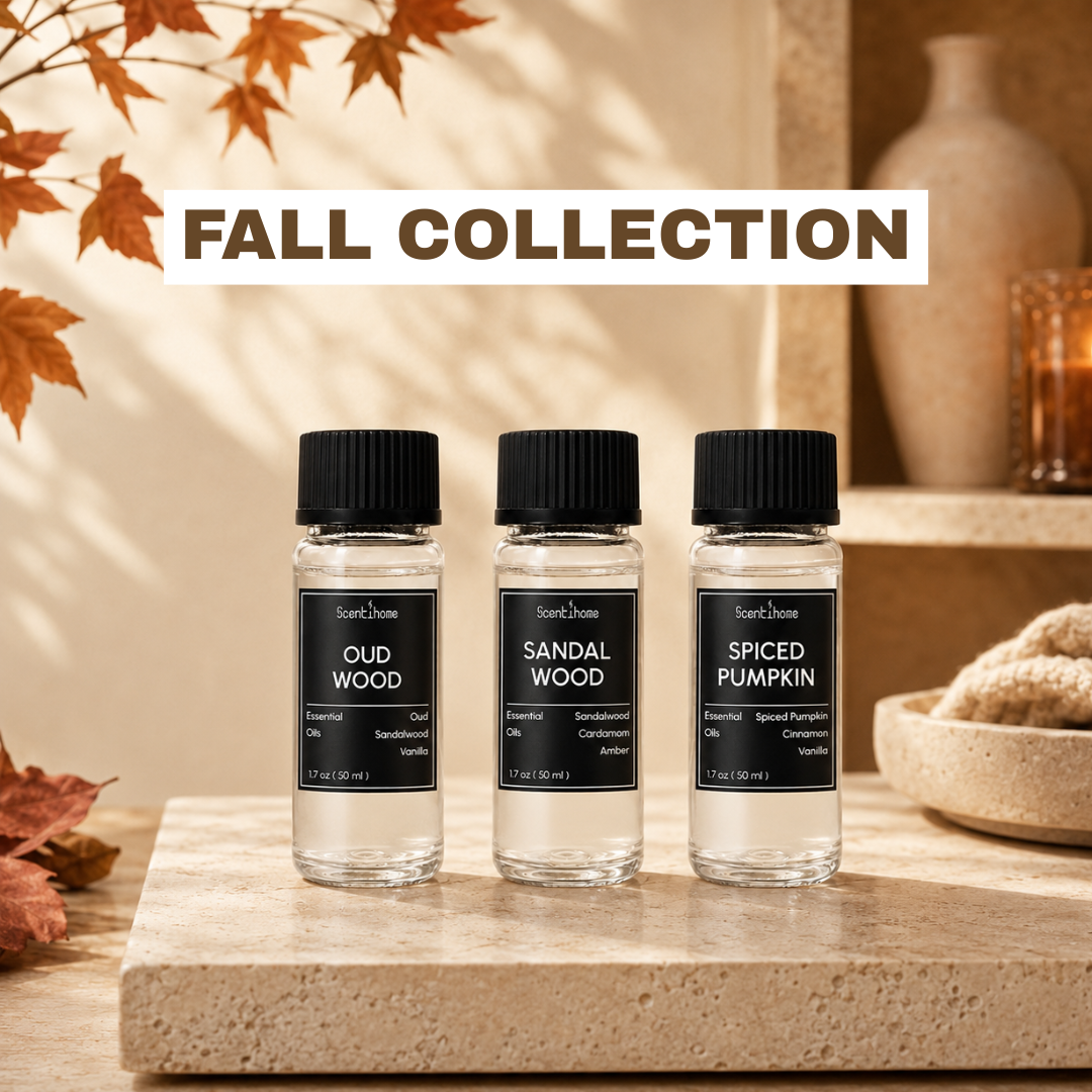Fall collection