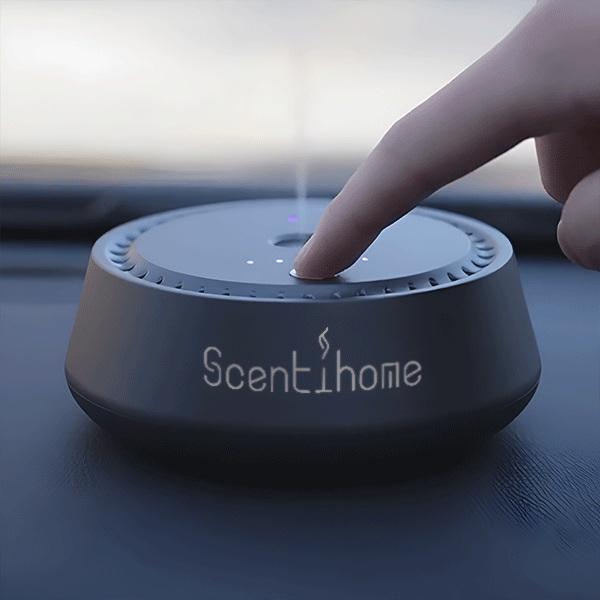 Chauffeur Car Diffuser™ Set