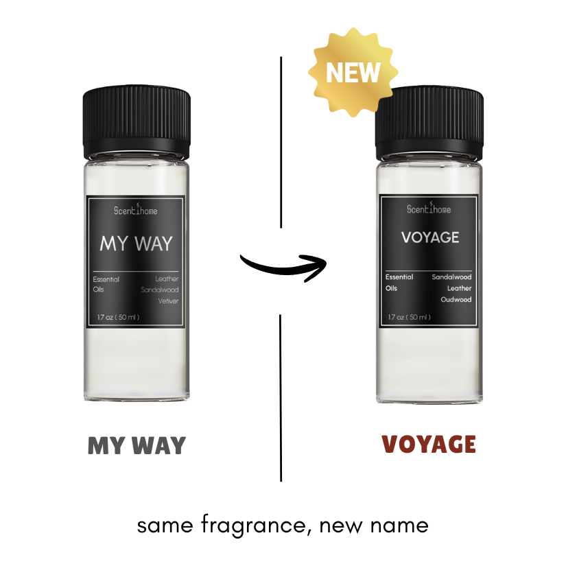Voyage