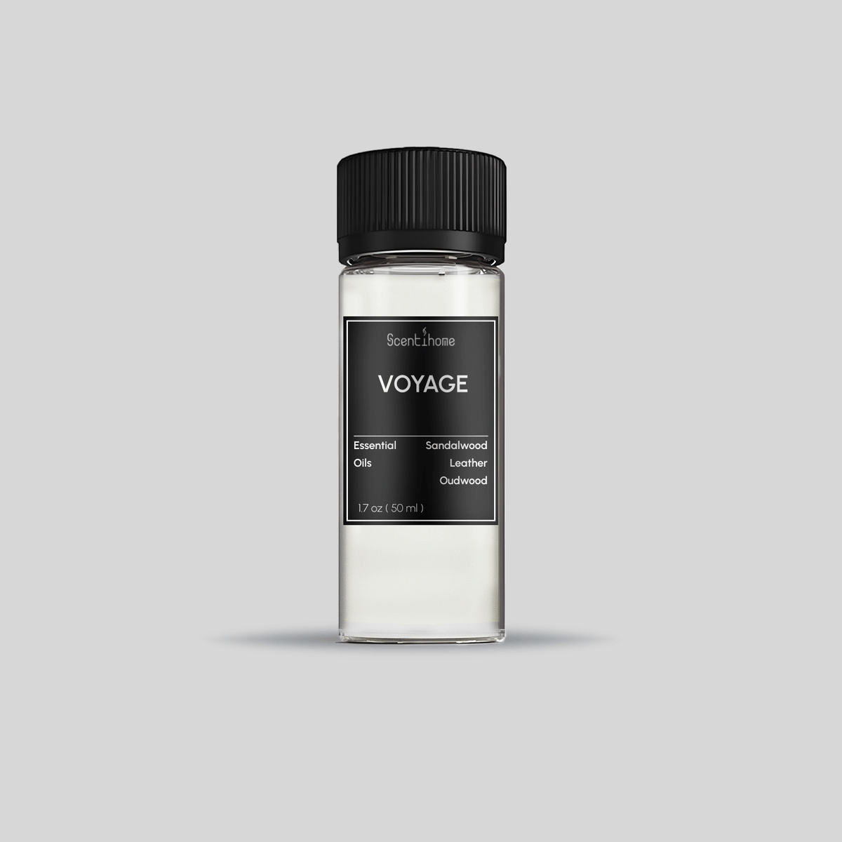 Voyage