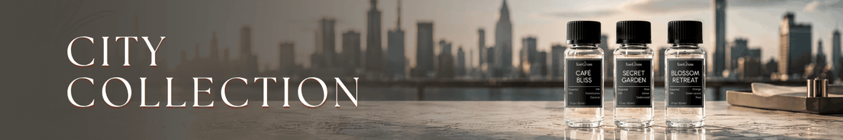 City Collection