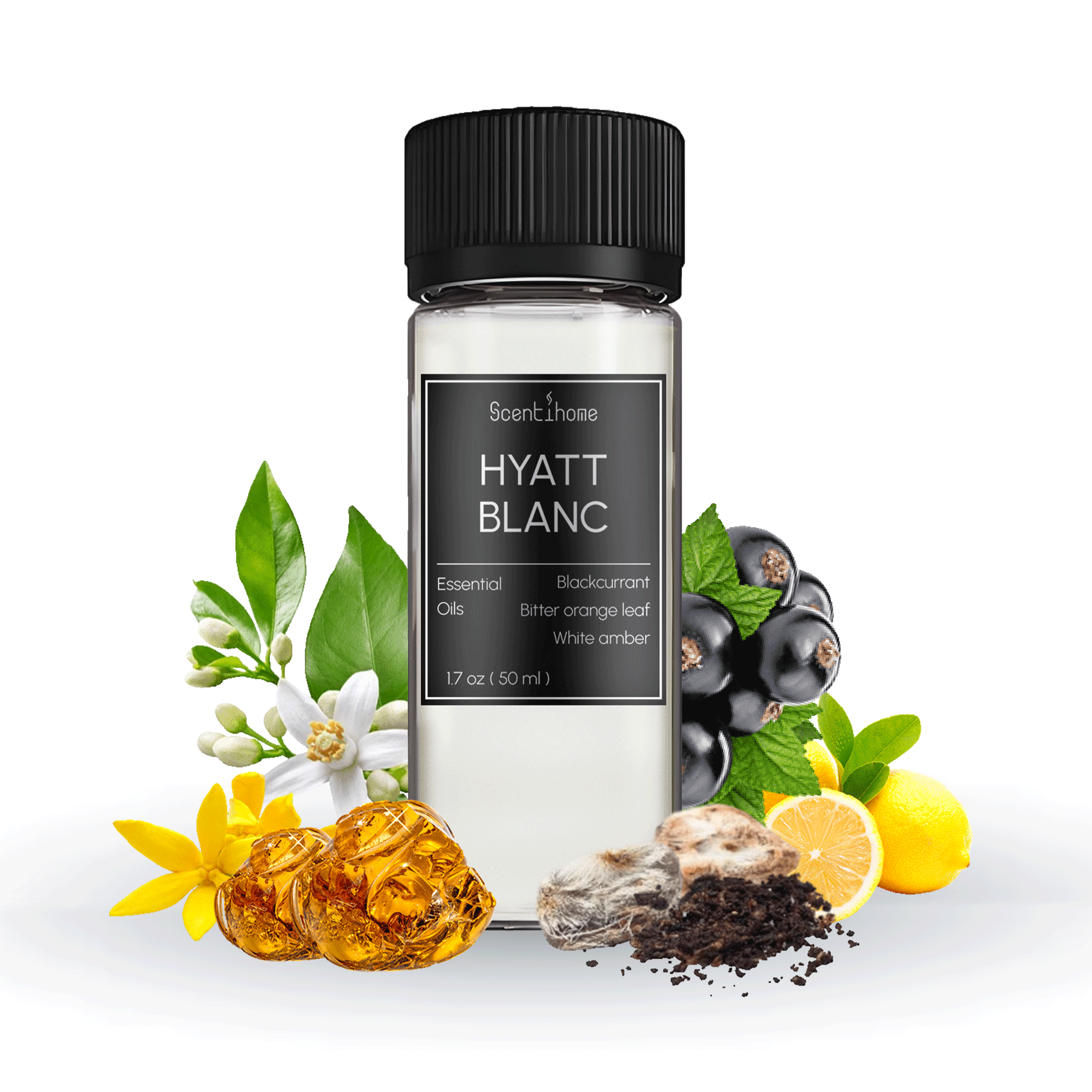 Hyatt Blanc