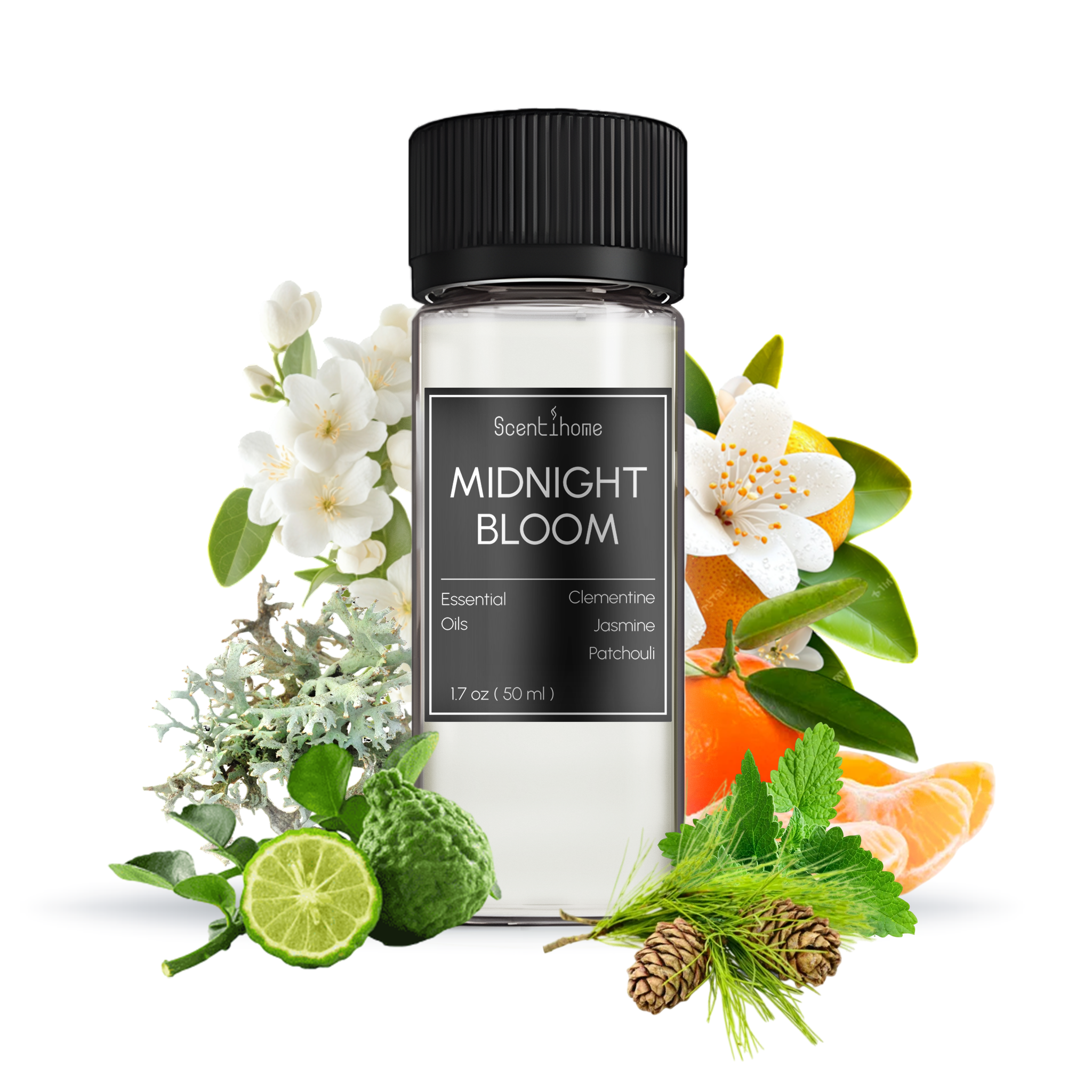 Midnight Bloom