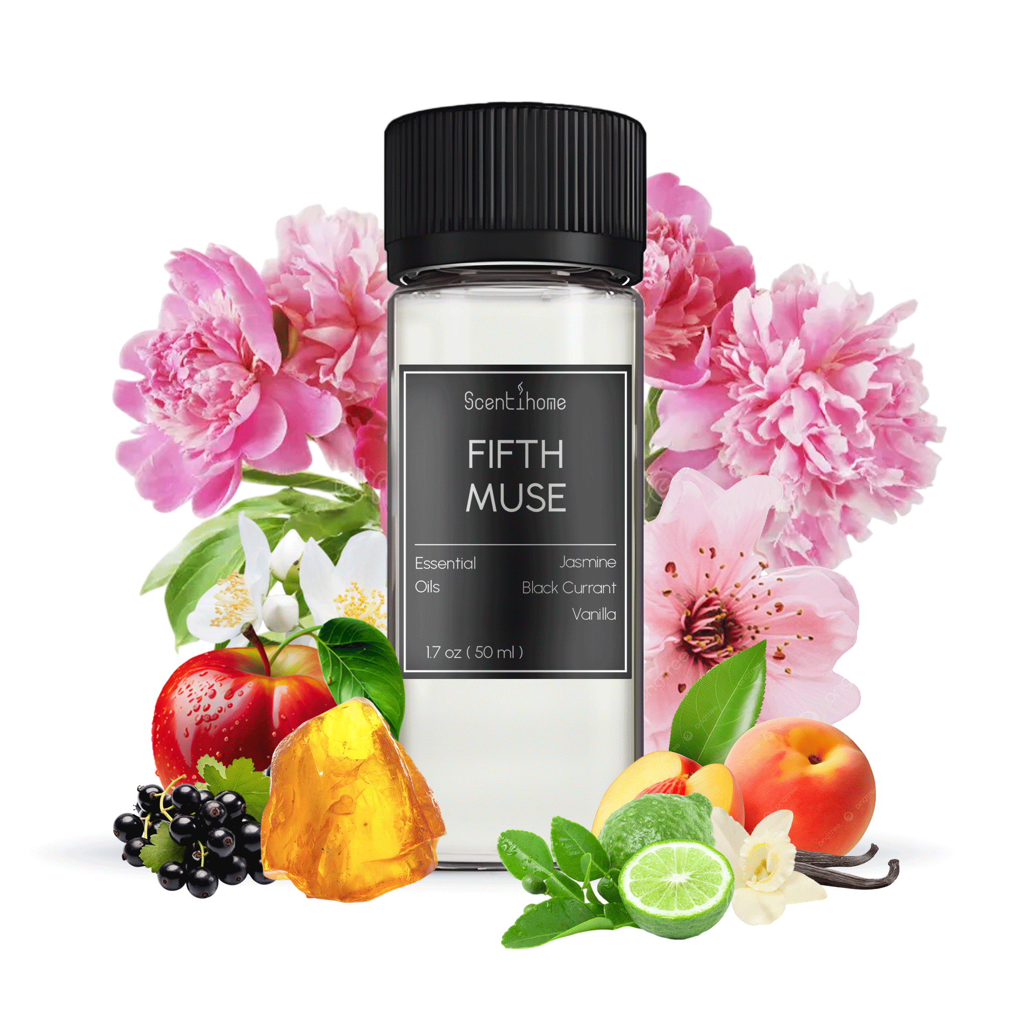 Fifth Muse