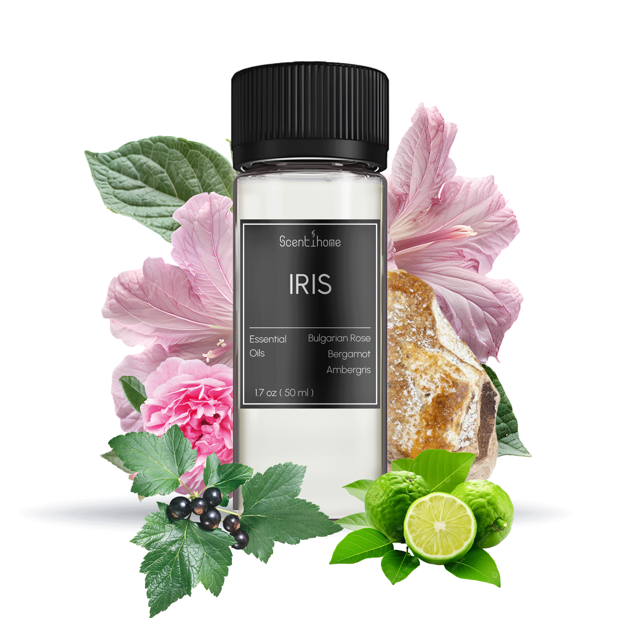 Iris