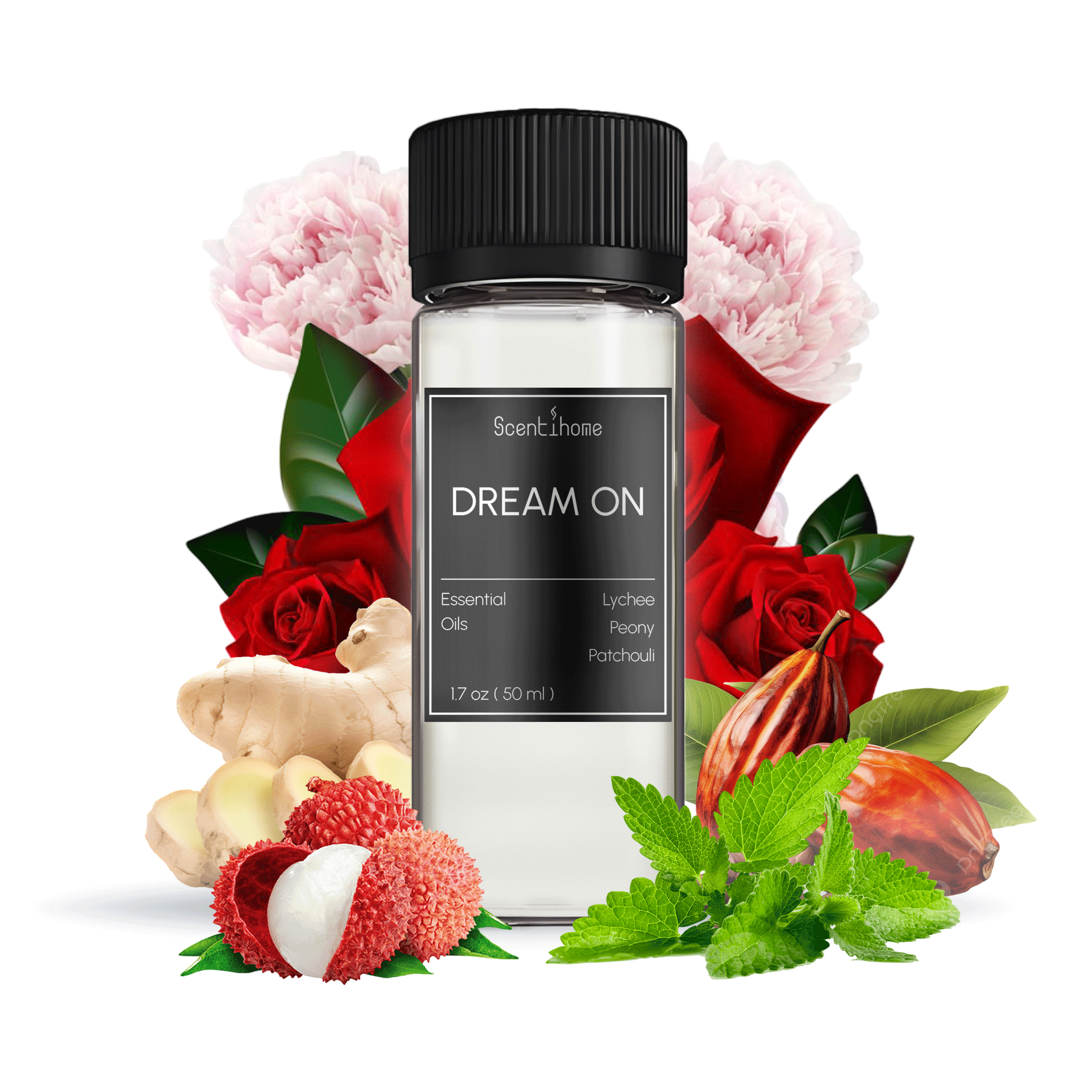 Dream On