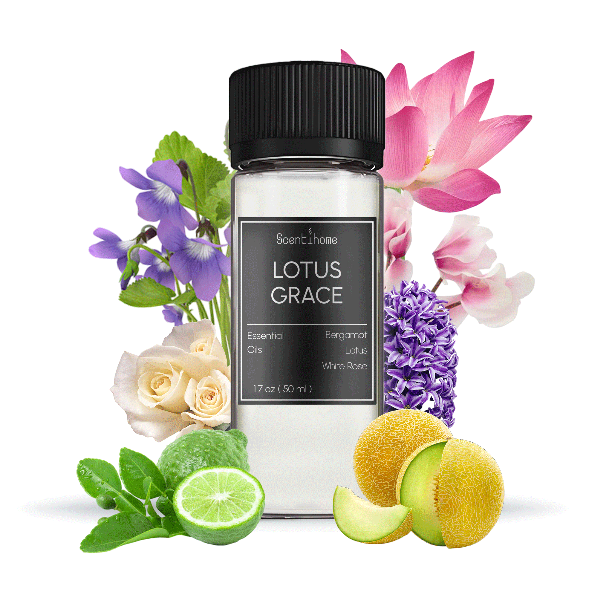 Lotus Grace