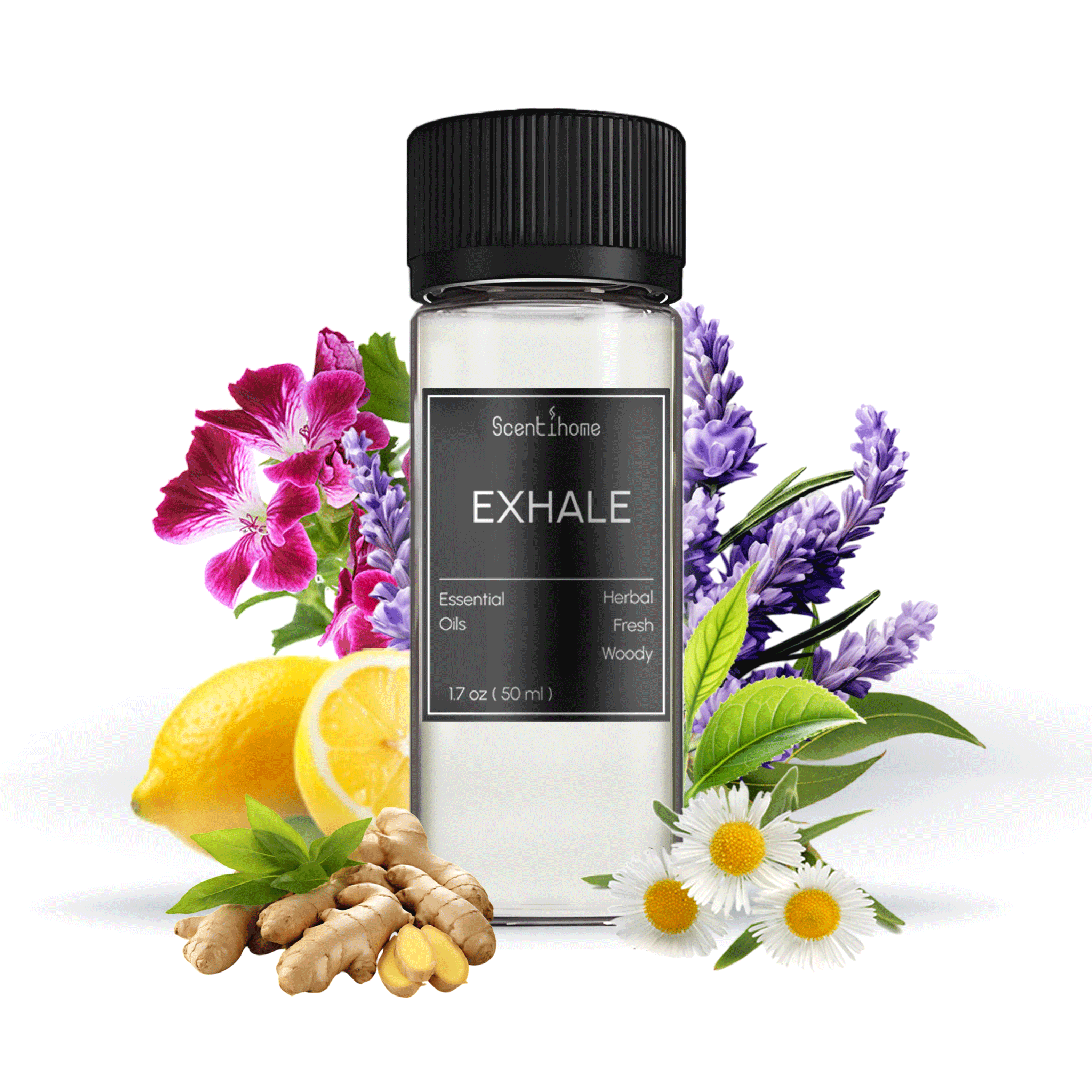 Exhale