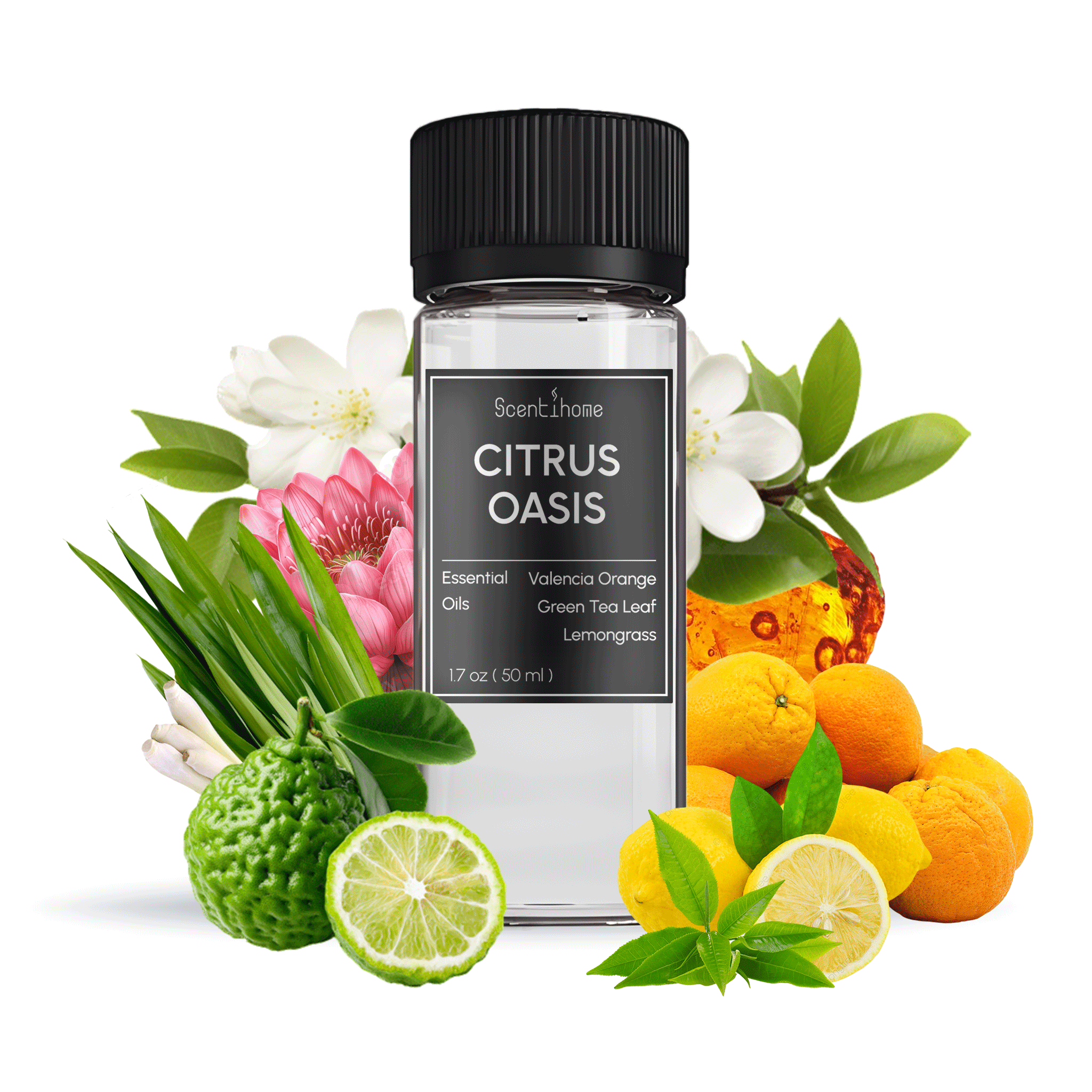 Citrus Oasis