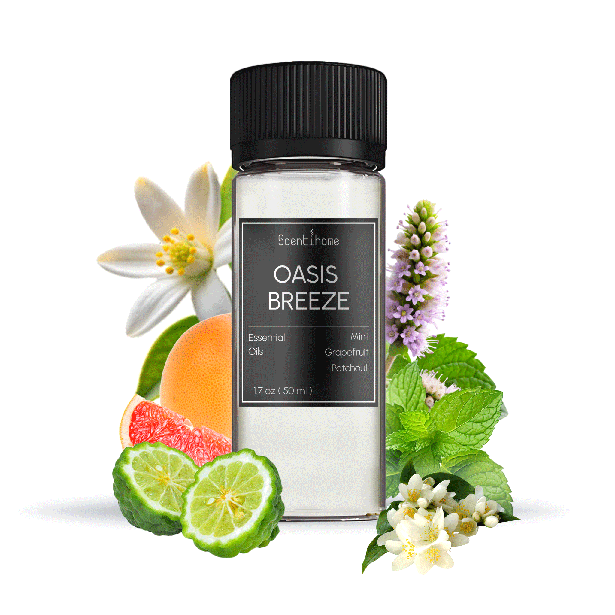 Oasis Breeze