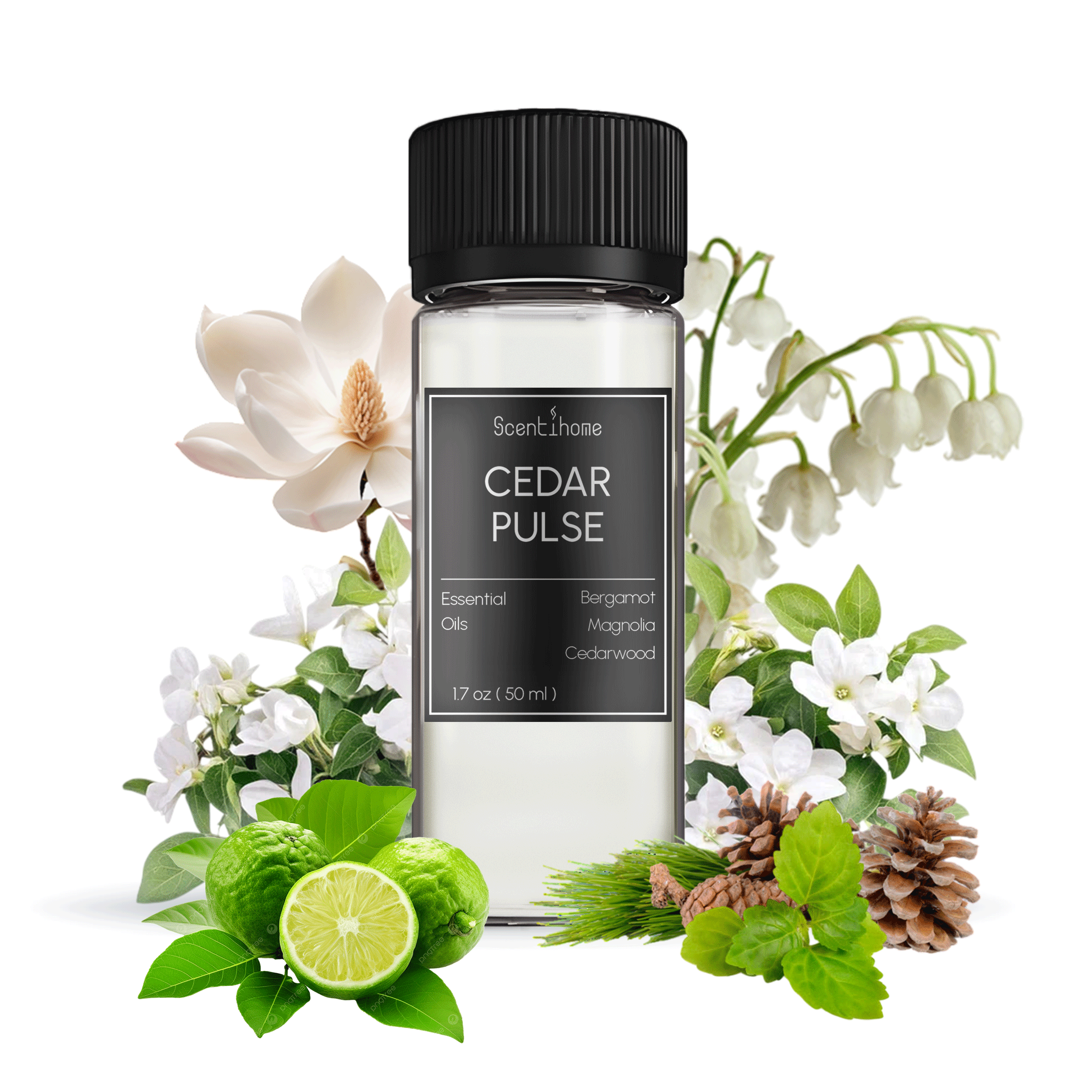 Cedar Pulse