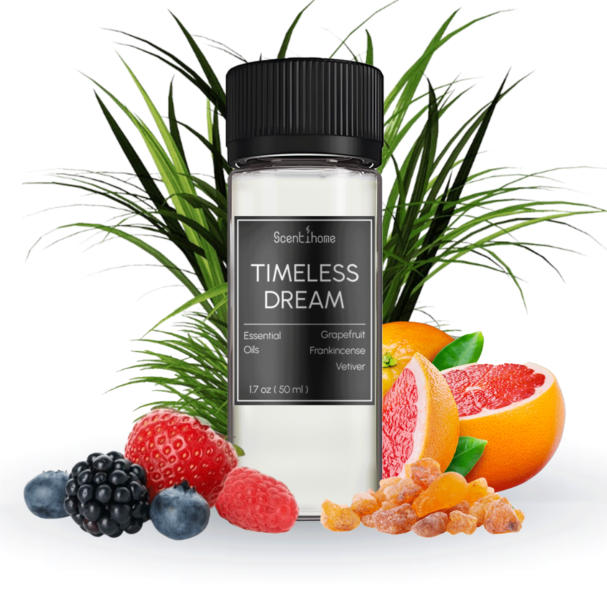 Timeless Dream