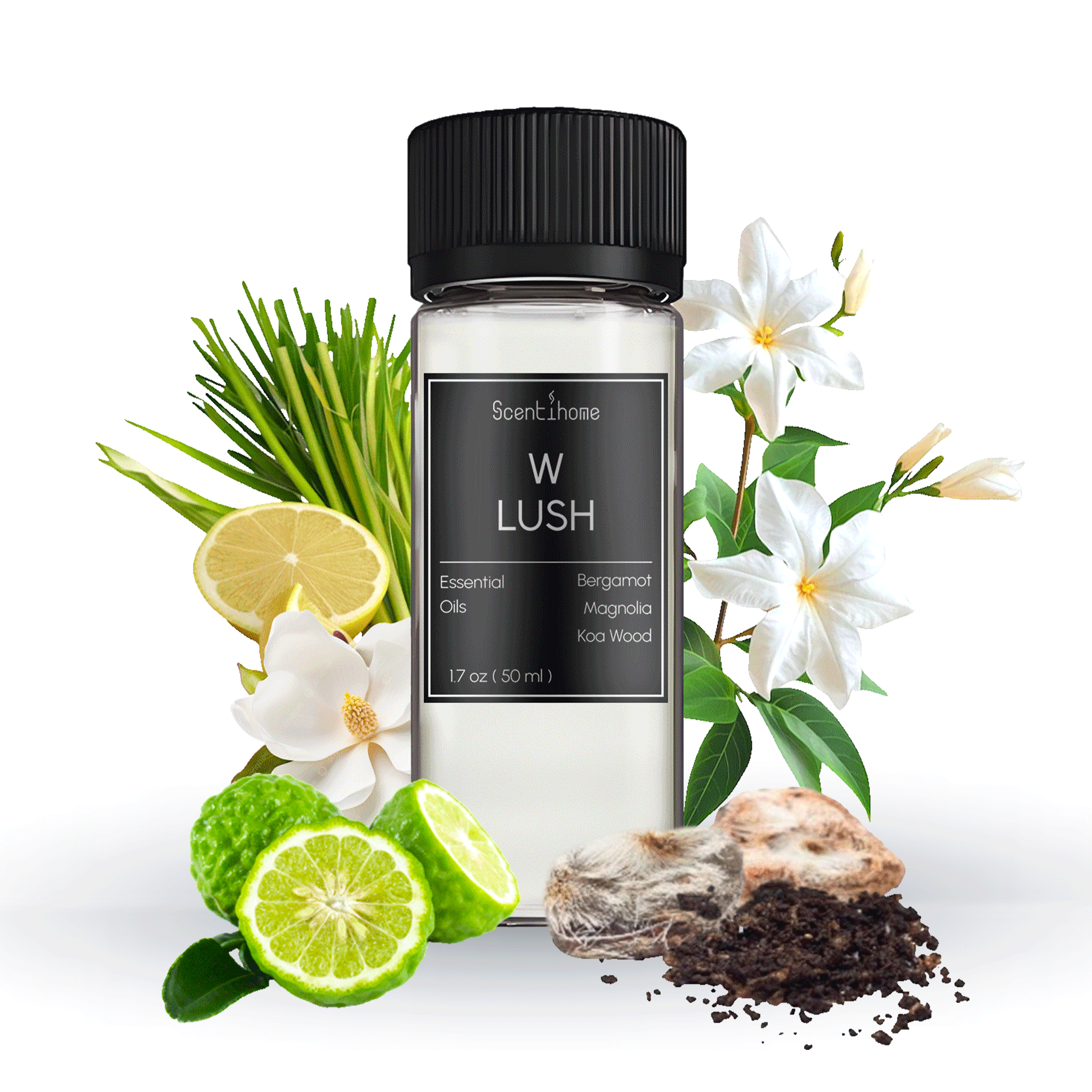 W Lush