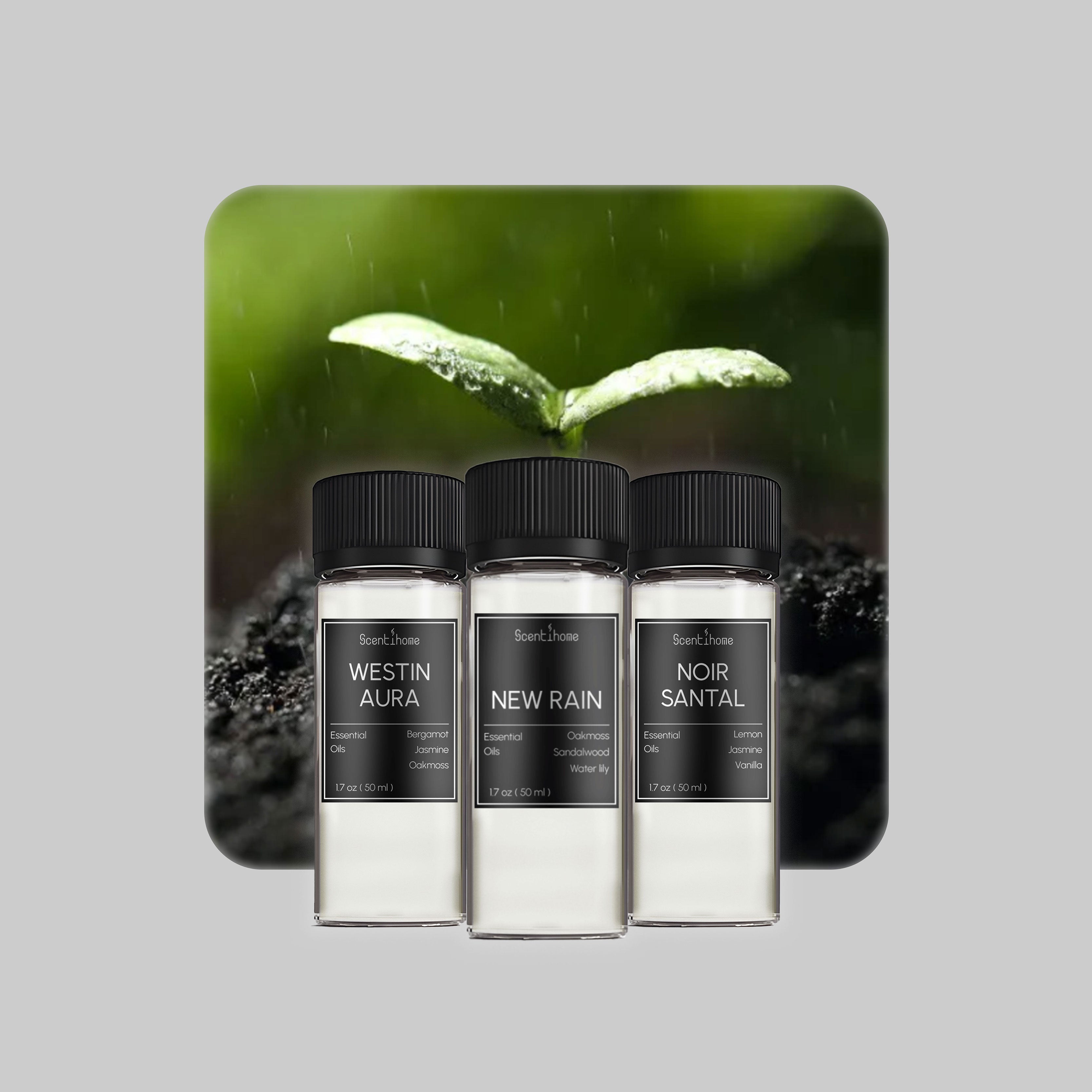 Earthy Essence Kit