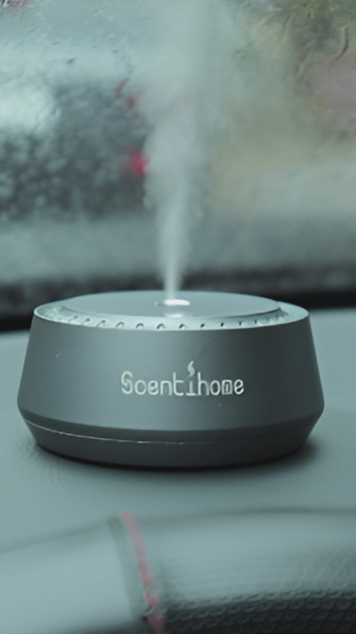 Chauffeur Car Diffuser™ Set